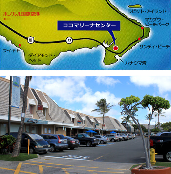ショップインフォメーション
