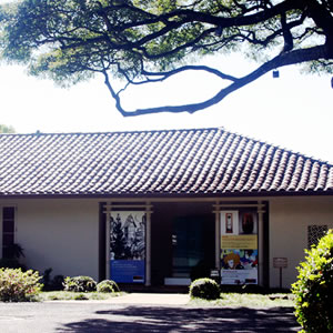 ザ･コンテンポラリー･ミュージアム、'ハワイの現代美術館