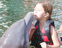 イルカにキス