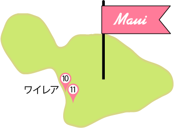 マウイ島