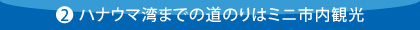 ハナウマ湾までの道のりはミニ市内観光