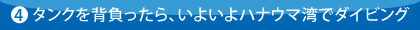 タンクを背負ったら、いよいよハナウマ湾でダイビング