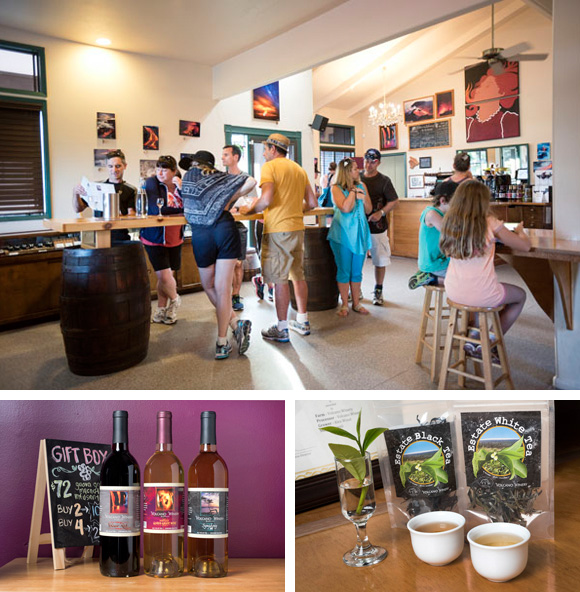 ボルケーノ・ワイナリー Volcano Winery