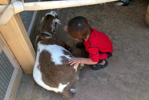 ココのブログ、ハワイで子育て＆ローカル情報