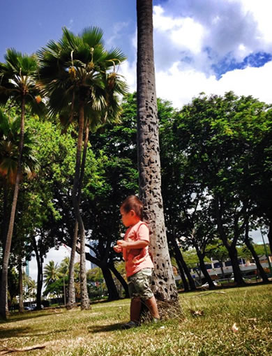 ココのブログ、ハワイで子育て＆ローカル情報