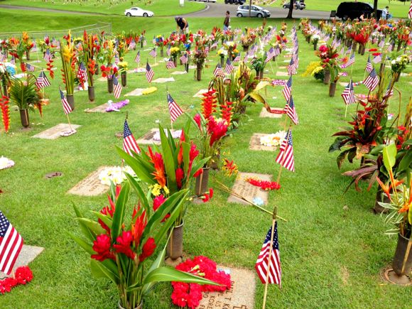 キョーコのブログ、ハワイの暮らし、地元ニュース情報