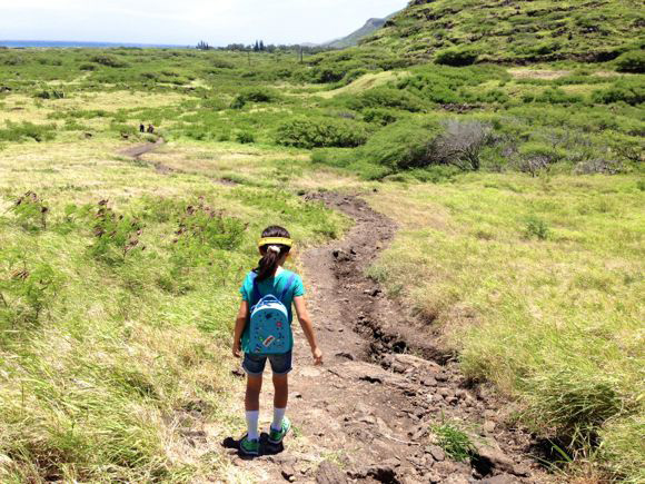 キョーコのブログ、ハワイの暮らし、地元ニュース情報