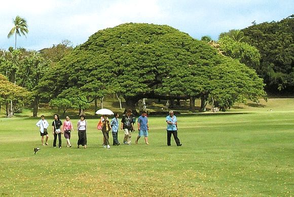 キョーコのブログ、ハワイの暮らし、地元ニュース情報