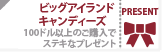 クーポン1 ハワイ島のお土産といえば、まず名前があがるのは「ビッグアイランド・キャンディーズ」。とりわけ有名...