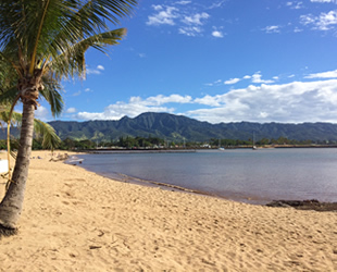ハワイ在住者がお気に入りのビーチ教えます
