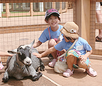 ホノルル動物園で