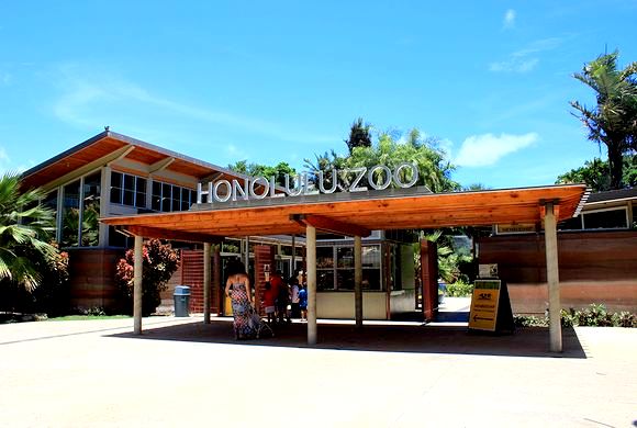 嵐の相葉雅紀が訪れたハワイスポット、子どもから大人まで楽しめるワイキキの人気観光スポット、ホノルル動物園