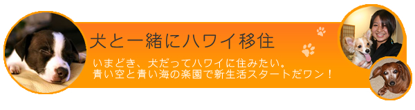 ペット犬と一緒にハワイ移住