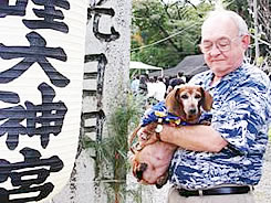 ペット犬とハワイ移住