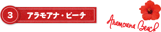 アラモアナ・ビーチ