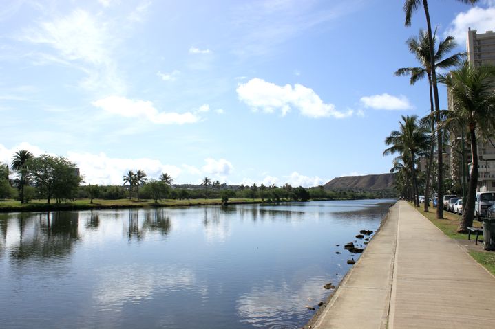 ハワイ、ワイキキのパワースポット、アラワイ運河