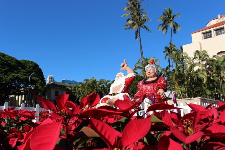 ハワイのクリスマスイルミネーション