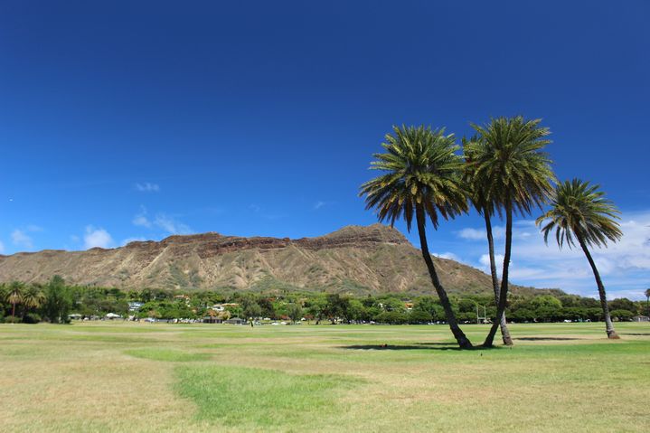ハワイの癒しスポット、カピオラニ公園