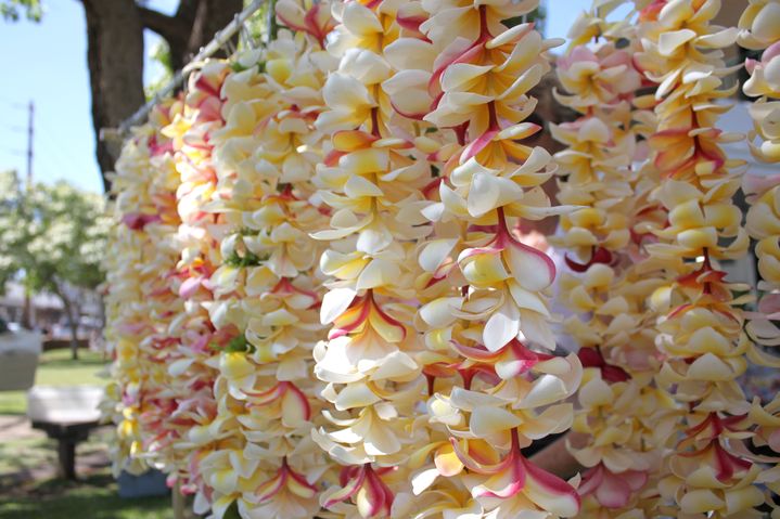 フラワーレイ、リボンレイ、ハワイの文化レイの写真