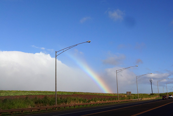 幸せな気分を運んでくれるハワイの虹