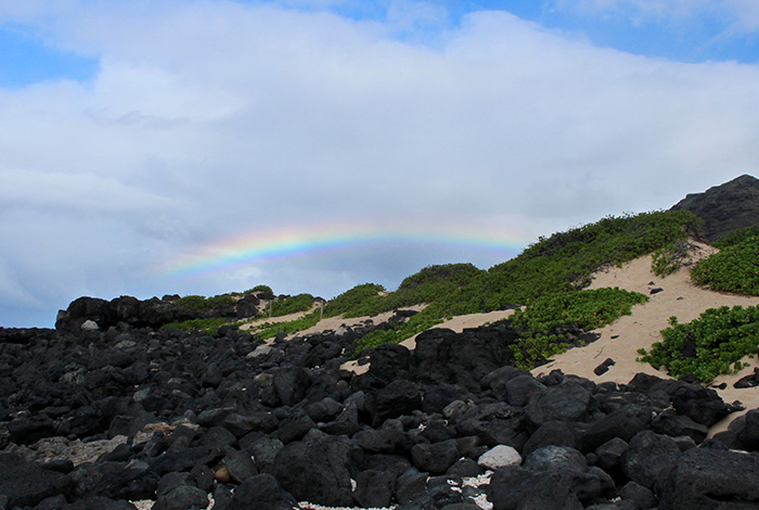幸せな気分を運んでくれるハワイの虹