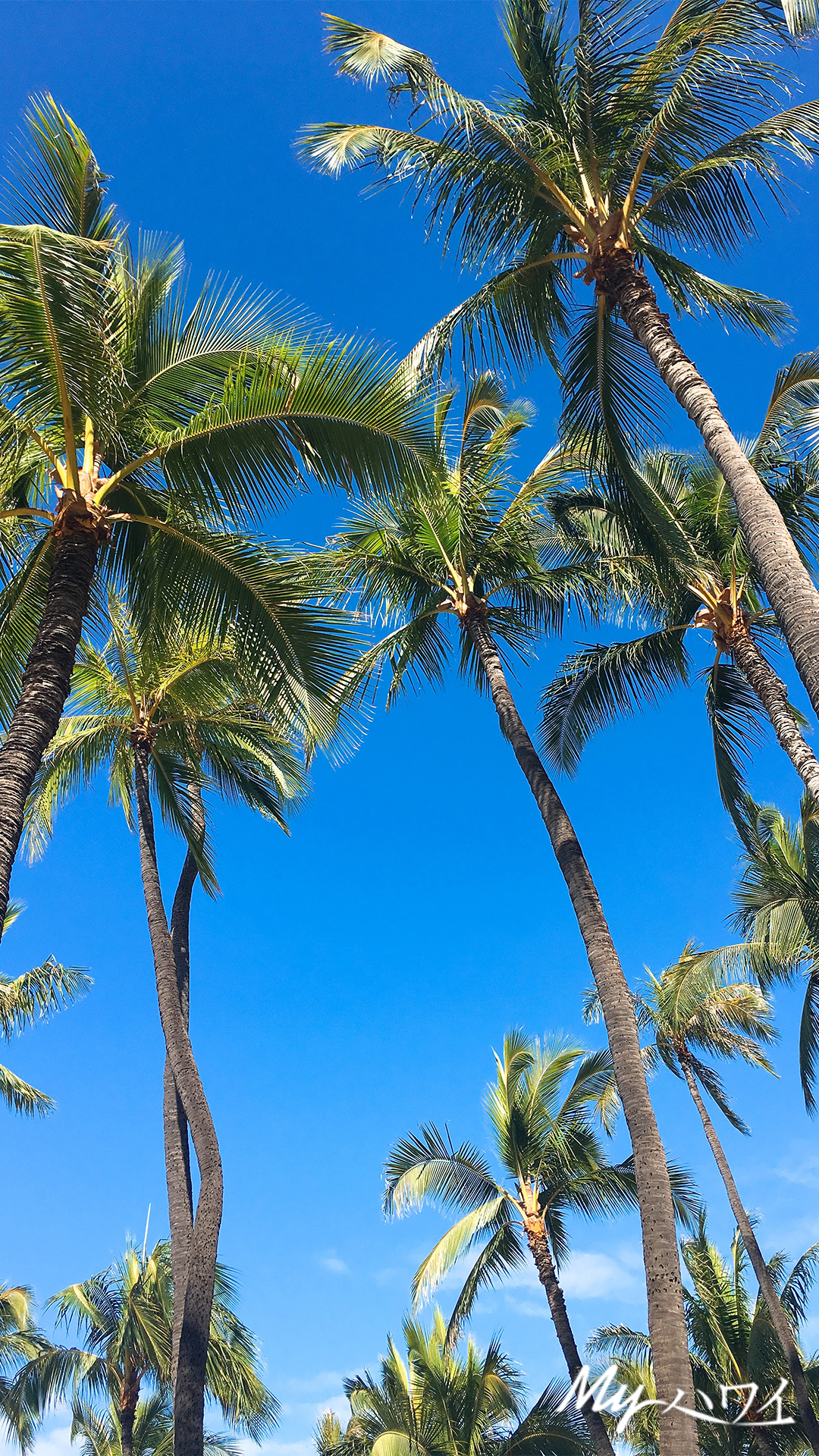 ハワイの美しい海やサンセット写真を携帯の待受けに