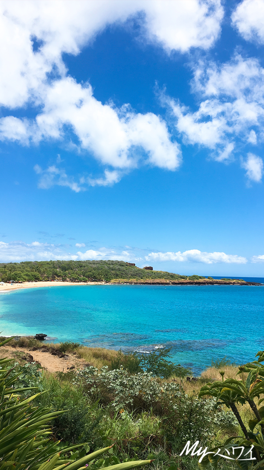 ハワイの美しい海やサンセット写真を携帯の待受けに