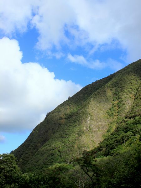 ハワイ、マウイ島の観光名所イアオ渓谷
