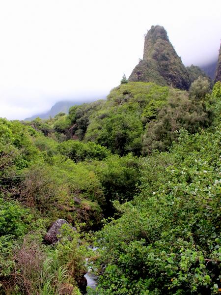 ハワイ、マウイ島の観光名所イアオ渓谷