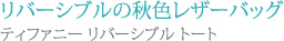 リバーシブルの秋色レザーバッグ
ティファニー リバーシブル トート