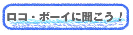 素敵なハワイのロコボーイ