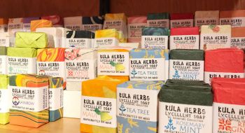 最新ハワイ取材記事 その3