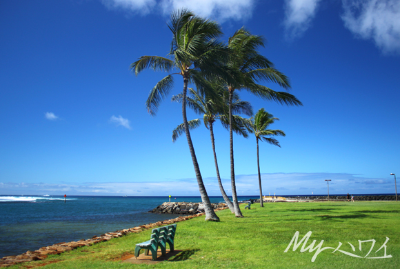 ala-moana-beach-park