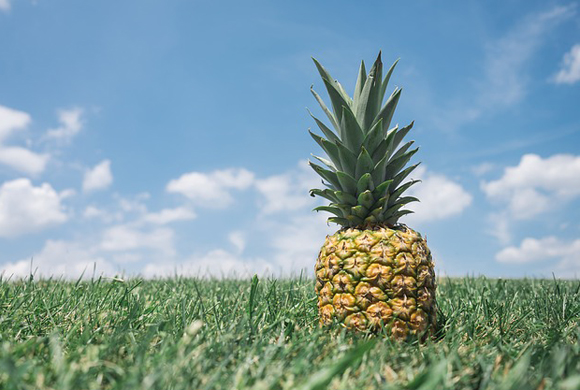 pineapple-867245_640