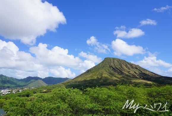 kokohead2