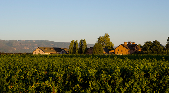 trefethen-historic-winery-panorama