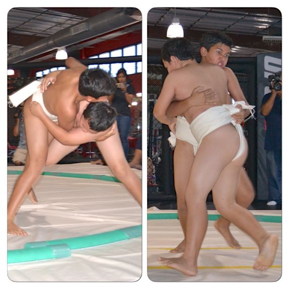 sumo3