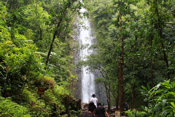 ハワイで朝活 マノアの滝で森林浴ハイキング Myハワイ歩き方