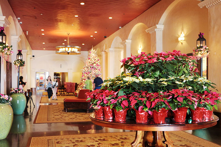 ハワイのクリスマス、ロイヤルハワイアンホテル