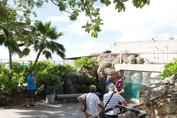 ワイキキ水族館