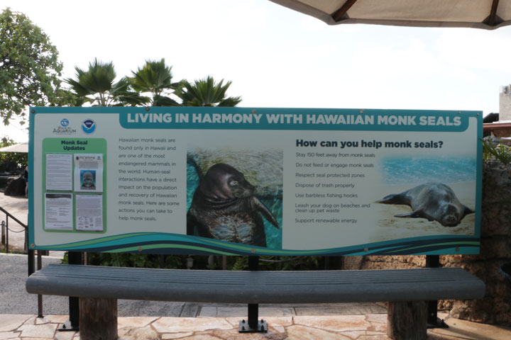 ワイキキ水族館