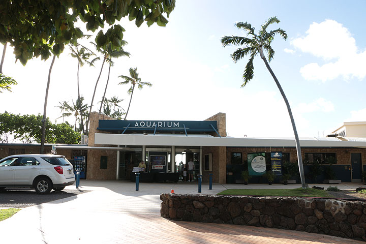 ワイキキ水族館
