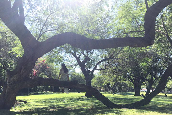 カピオラ二公園