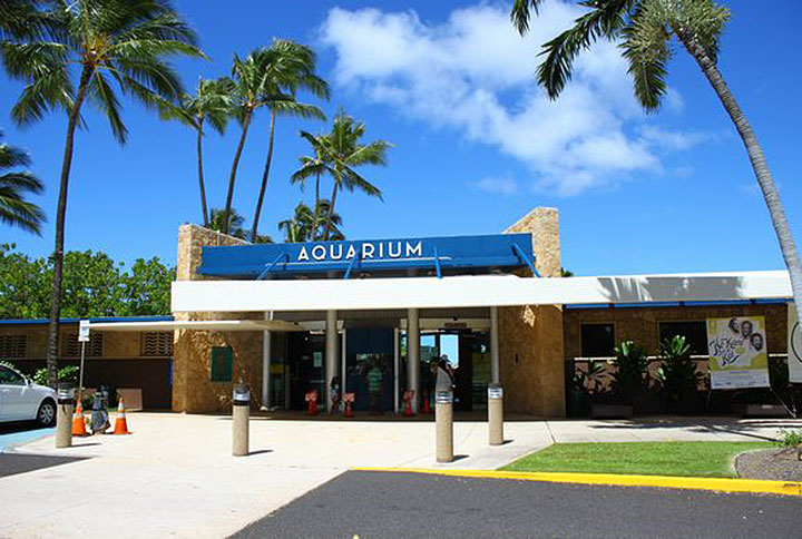 ワイキキ水族館　喫煙ポリシー