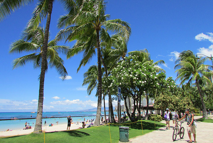 知っておきたい ハワイの天気と気温情報 Myハワイ歩き方