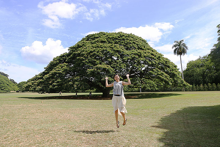 この木なんの木」のあるモアナルア・ガーデン【動画付】 - Myハワイ歩き方