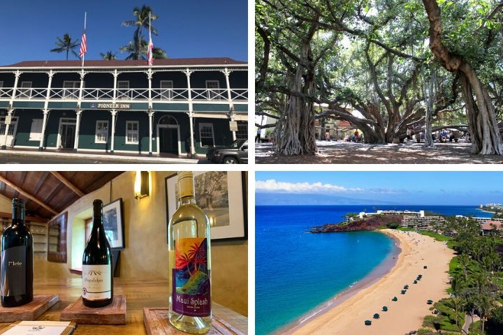 マウイ島のおすすめ観光スポットを5つの動画で紹介