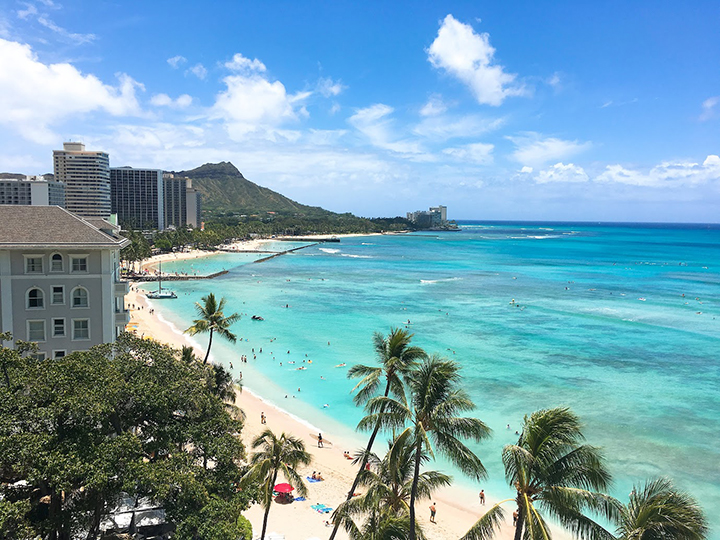 38％割引オレンジ系最新の激安 ♡Hawaii様ご確認②♡ ベビー用食器 授乳/食事オレンジ系-OTA.ON.ARENA.NE.JP