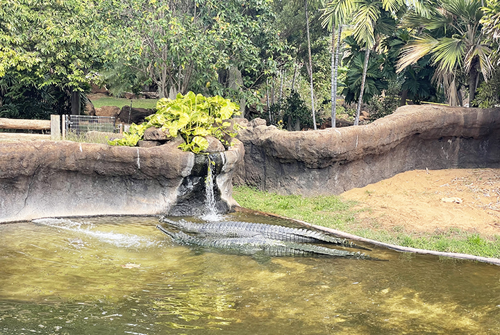 ホノルル動物園