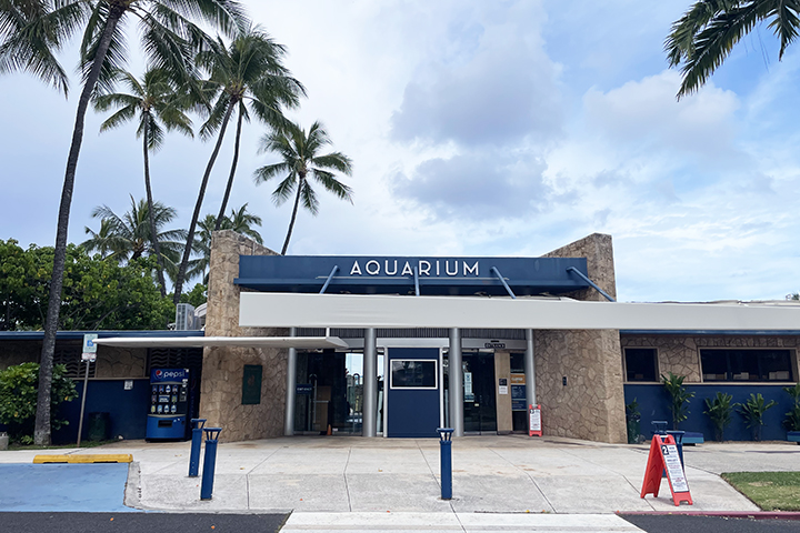 ワイキキ水族館